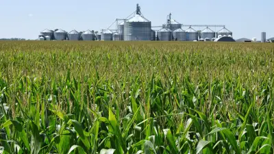 Chinese 'agroterrorism' could threaten US 'survival as a nation,' expert warns