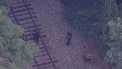 UMass Lowell under shelter in place, police searching for man carrying suspected firearm
