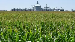 Chinese 'agroterrorism' could threaten US 'survival as a nation,' expert warns