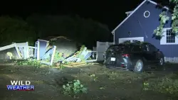 Powerful storm downs trees, branches across Beverly