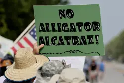 Trump To Tour New Migrant Detention in Florida Dubbed ‘Alligator Alcatraz’