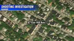 Police investigating shooting in Roxbury that left victim hospitalized